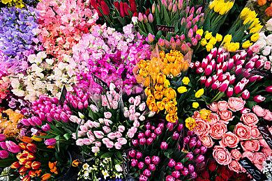 由于Series S 一些粉丝担忧《GTA6》Xbox版跳票